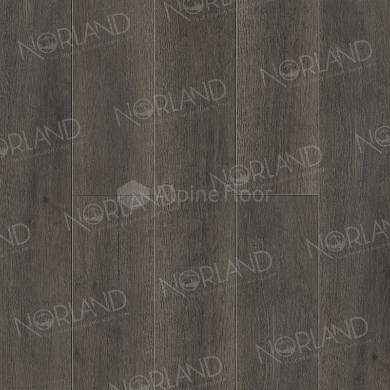 SPC ламинат Norland Sigrid Plus Baggy 1006-2