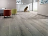 Ламинат Homflor Strong Durban 437