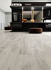 SPC ламинат FloorAge Forest Collection 1206 Фрисби
