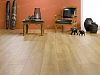 Ламинат Homflor Patio Adams 514