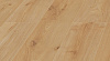 Ламинат Kronopol Zodiak Platinium Дуб Virgo D4571